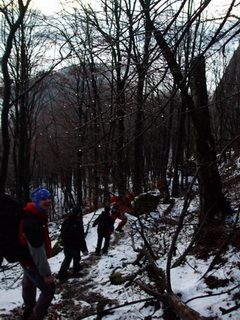 zostup