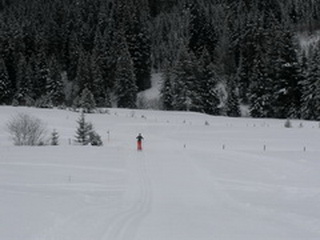 bezky
