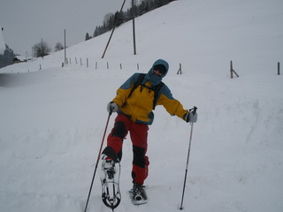 sneznice